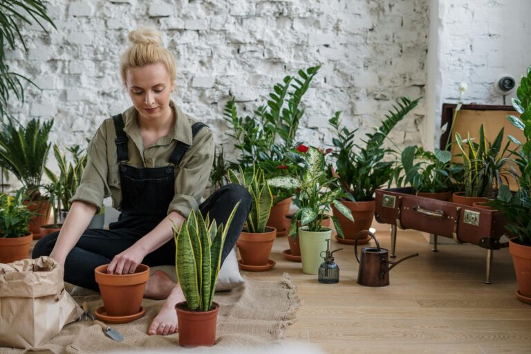 Do indoor herb gardens need sun light?