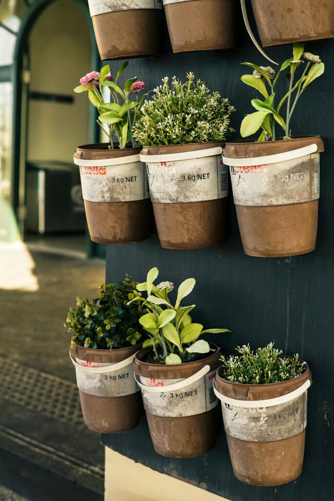 indoor wall herb garden