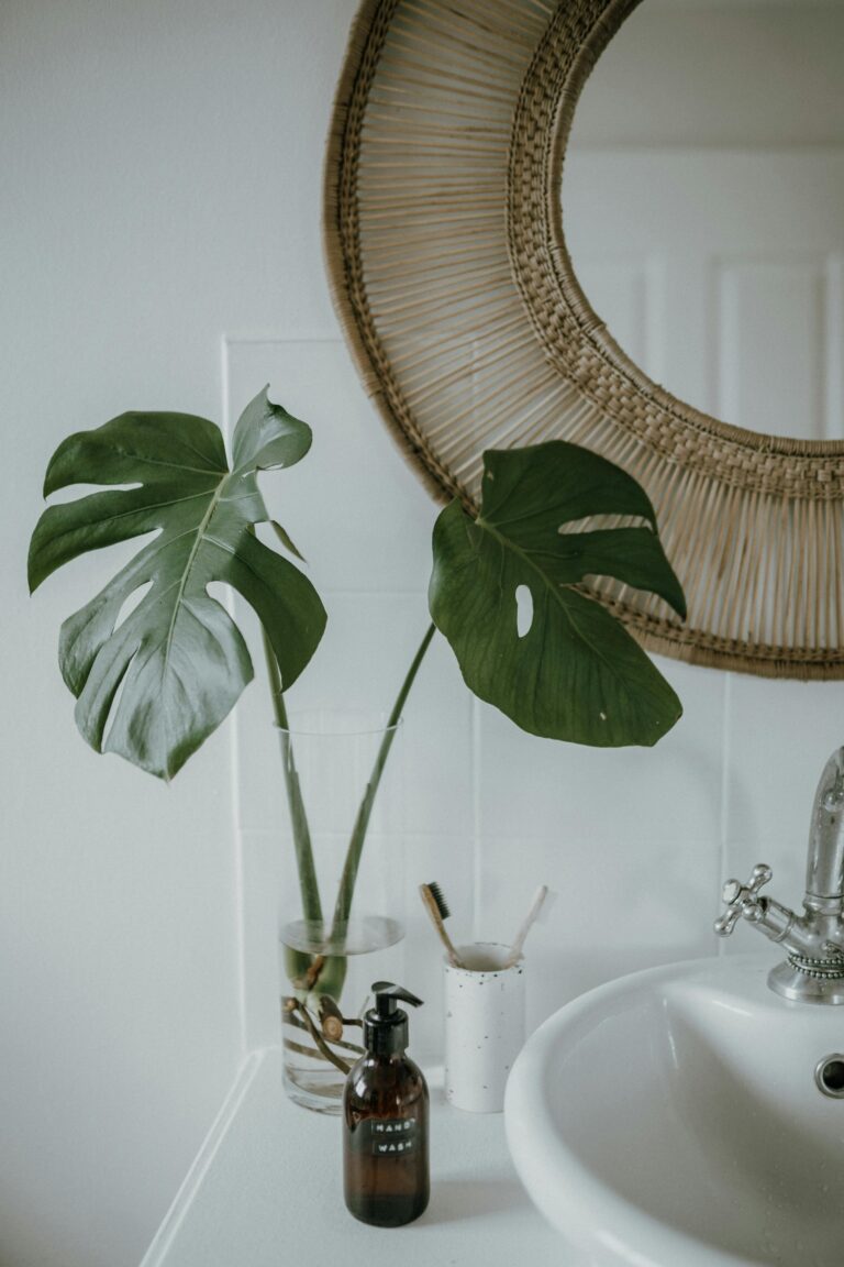 10 Best Plant That'll Make Your Bathroom Bloom