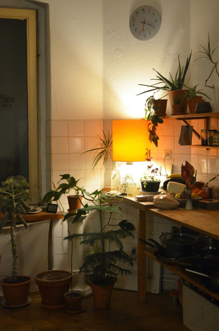 Bathroom &Kitchen Plant's-Wild Root's