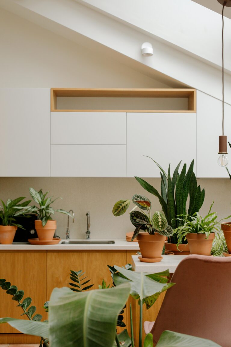 The Conscious Plant Kitchen