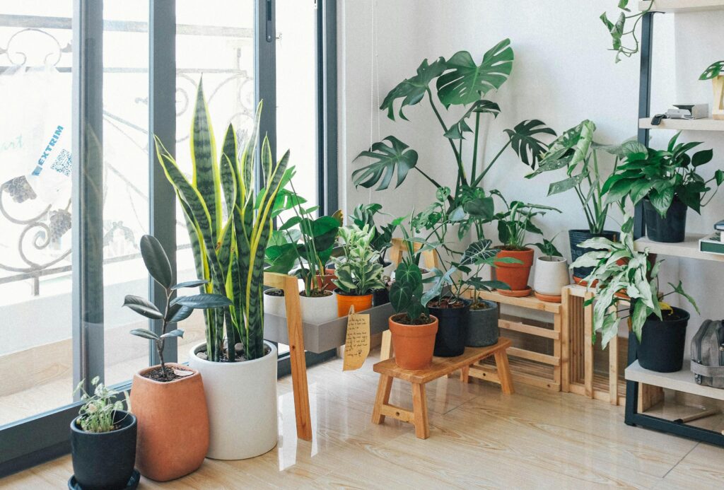 Why Indoor Container Garden?