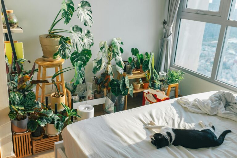 Ideas About Cozy Plant Bedroom