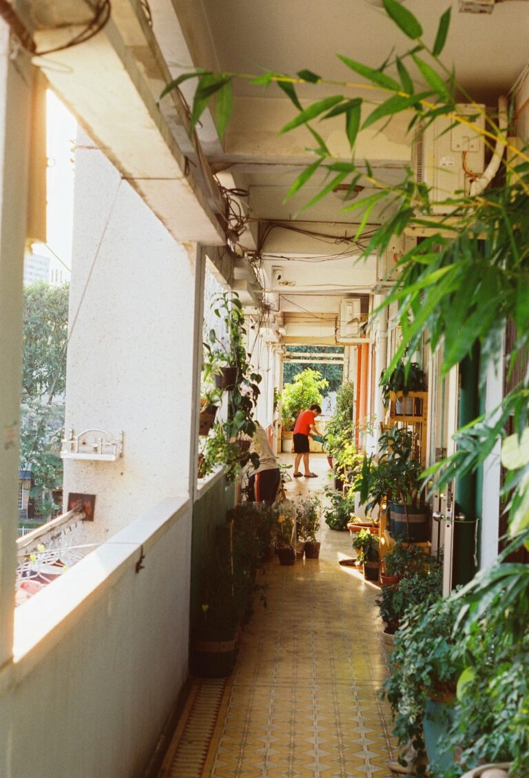 Growing A Vegetable Garden On A Balcony