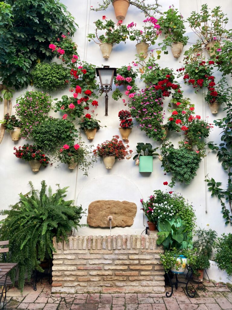 All you need to know about vertical wall garden