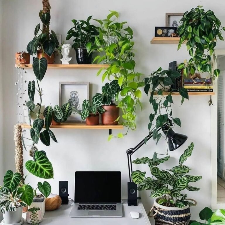 best desk plants