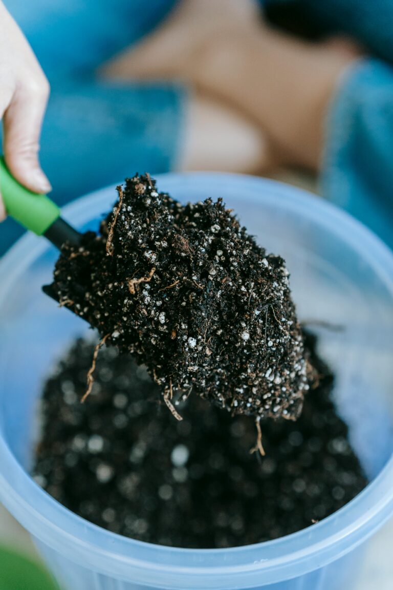 hydroponic fertilizer